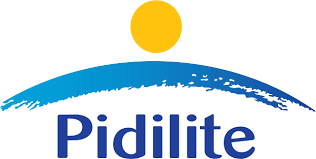 Pidilite Industries Limited Standalone Double digit Underlying Volume Growth (UVG*) in Q4