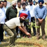 NHAI Celebrates World Environment Day with Tree Plantation Drive in Amritsar