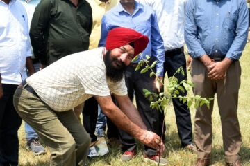 NHAI Celebrates World Environment Day with Tree Plantation Drive in Amritsar
